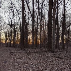 Meet your Posher, Starla